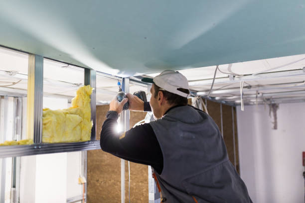 Best Professional Insulation Contractor  in Lorenz Park, NY