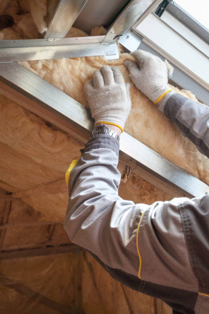 Best Attic Insulation Installation  in Lorenz Park, NY