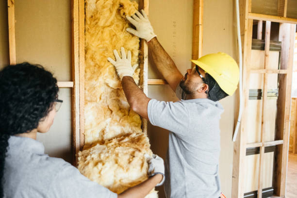 Best Energy-efficient Insulation  in Lorenz Park, NY