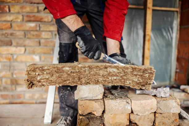 Best Insulation Inspection Services  in Lorenz Park, NY